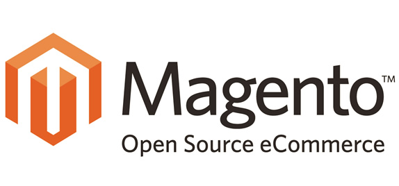 Website Development using Magento